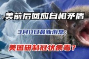 美国新病毒爆料最新消息,最新爆料揭示病毒特征与应对措施