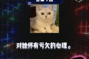 娱乐圈八卦爆料最新一期,明星恋情、新剧动态大揭秘！