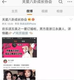小说吃瓜娱乐,揭秘娱乐圈背后的秘密与真相